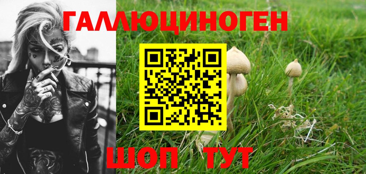Галлюциногенные грибы прущие грибы Александров