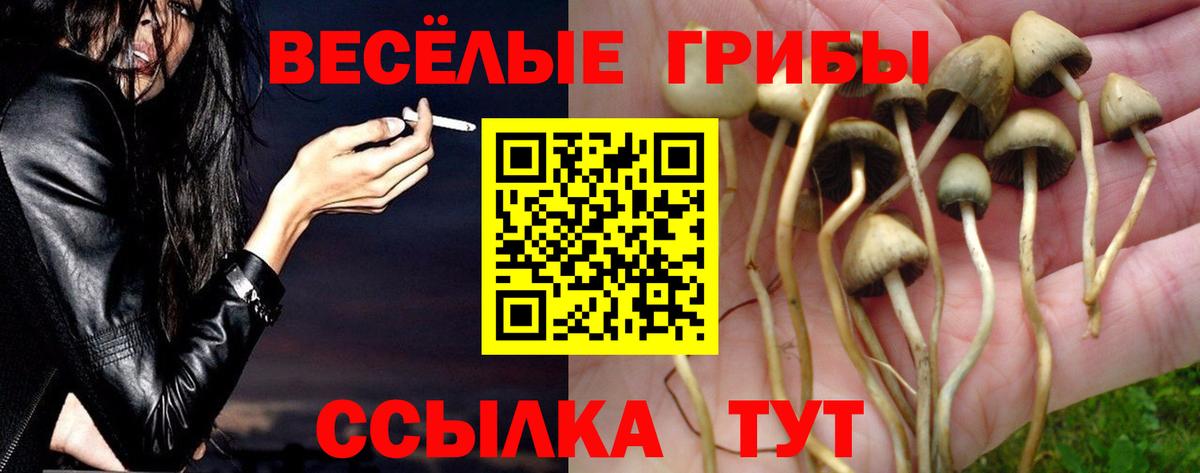 Псилоцибиновые грибы прущие грибы  Вход с VPN  Псилоцибиновые грибы Magic Shrooms  Александров 